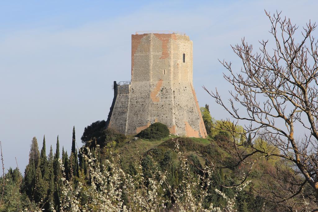 La Terrazza Sulla Val D'Orcia Apartamento Castiglione dʼOrcia Exterior foto