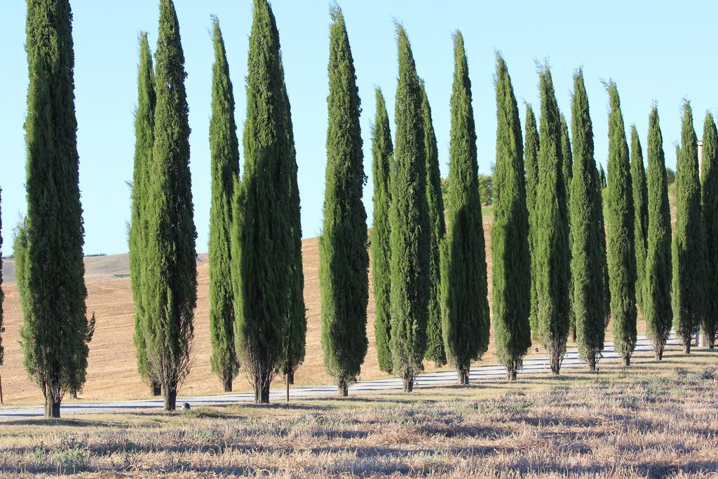 La Terrazza Sulla Val D'Orcia Apartamento Castiglione dʼOrcia Exterior foto