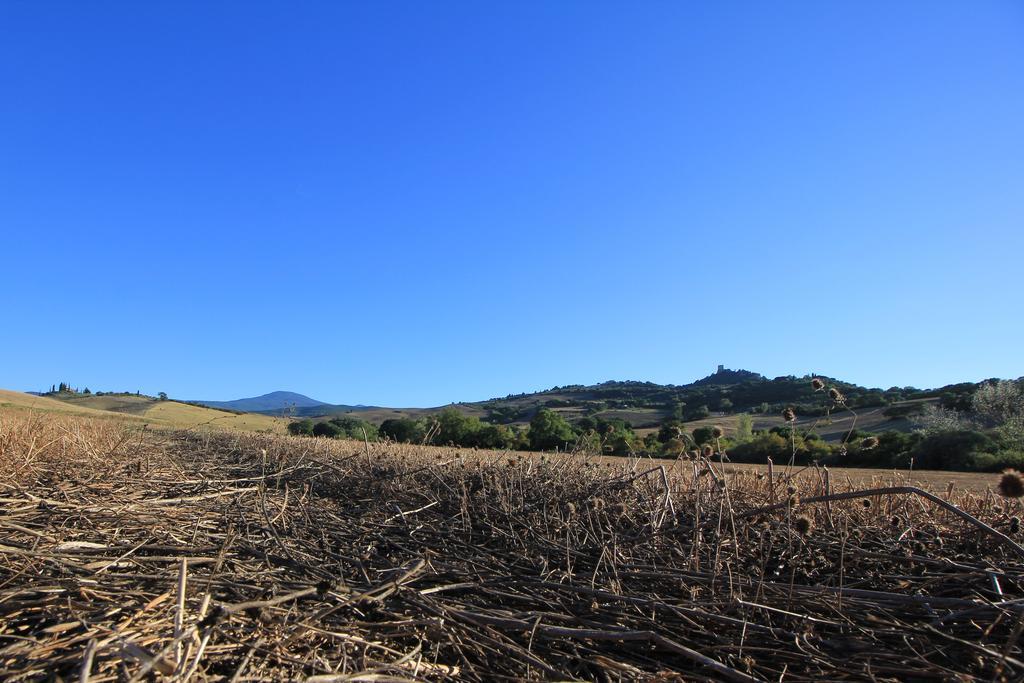 La Terrazza Sulla Val D'Orcia Apartamento Castiglione dʼOrcia Exterior foto