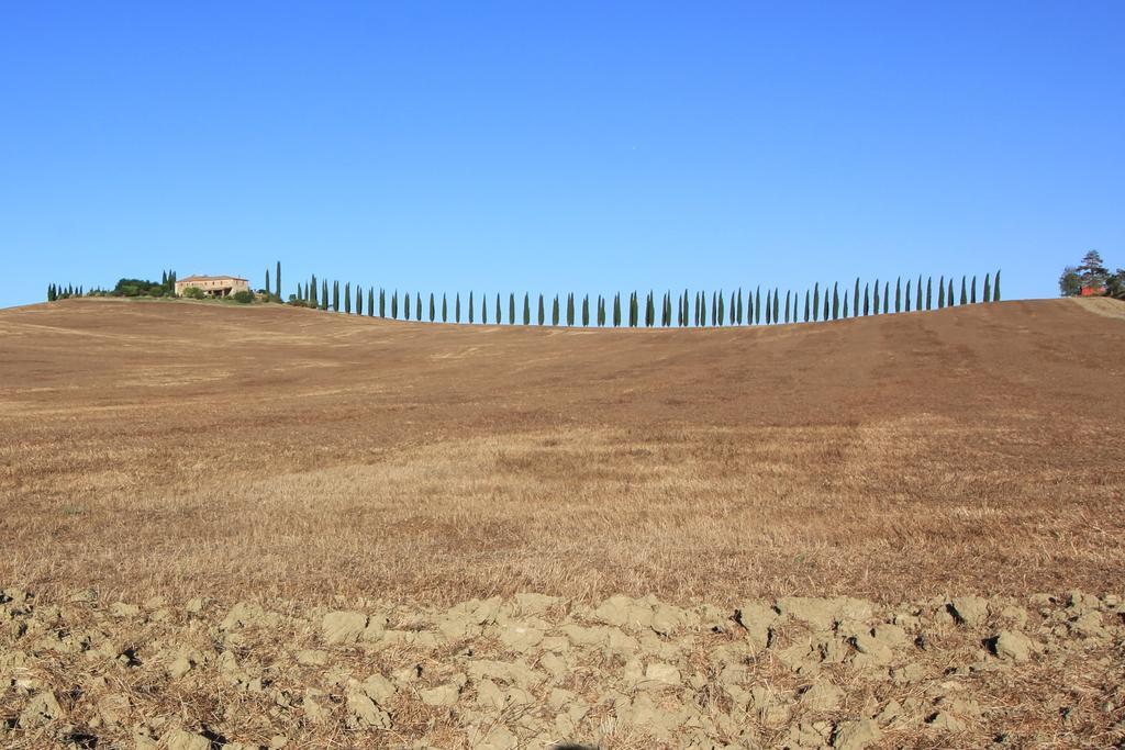 La Terrazza Sulla Val D'Orcia Apartamento Castiglione dʼOrcia Exterior foto