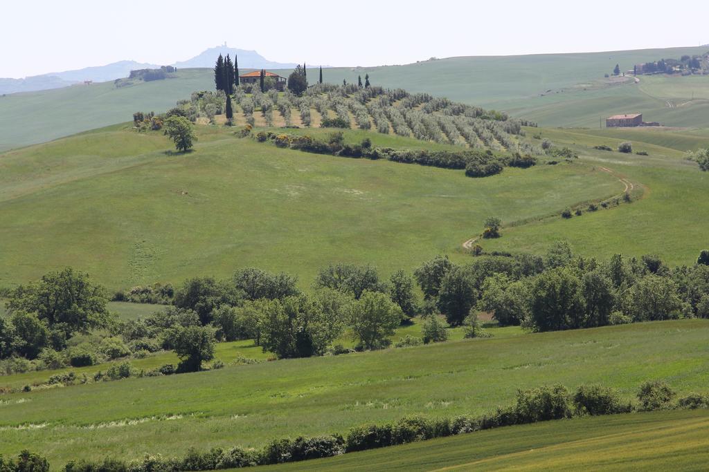 La Terrazza Sulla Val D'Orcia Apartamento Castiglione dʼOrcia Exterior foto